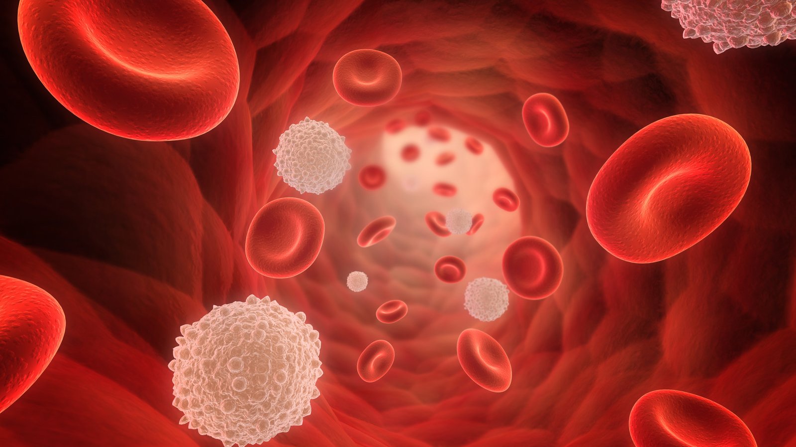 Physiologie – Blut (09.06.25 – 18:00)