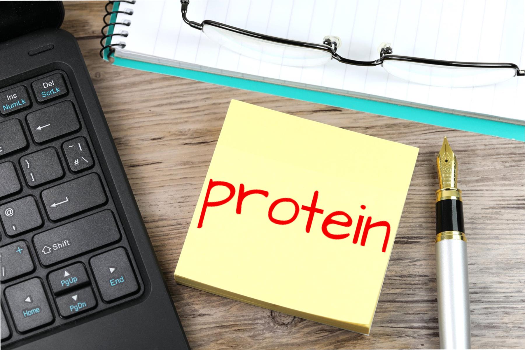Biochemie – Aminosäuren & Proteinstoffwechsel (15.06.25 – 18:00)